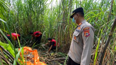 Tim Inafis Polres Bantul melakukan olah TKP penemuan kerangka manusia. 