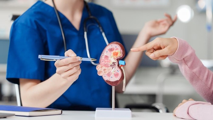 Rahasia Detoksifikasi Ginjal: 7 Minuman Alami Ampuh
